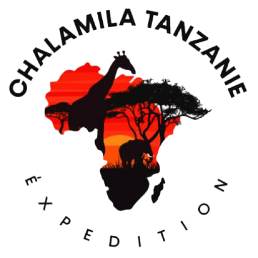 charamila tanzanie expedition Logo